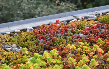 the cost of Bewaldeth green roof installation